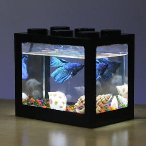 hiasan aquarium mini