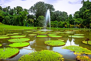 Destinasi Liburan Hari Raya Idhul Fitri Mengunjungi Kebun Raya Bogor 2 Destinasi Liburan Hari Raya Idhul Fitri Mengunjungi Kebun Raya Bogor | Pristiwa News | Pristiwa.com